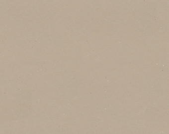 [1001111112_19] Surestep original - 172842 salmon